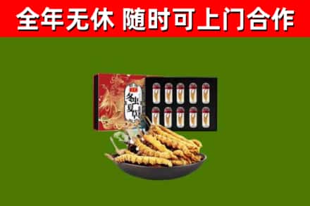 澎湖县回收冬虫夏草价格